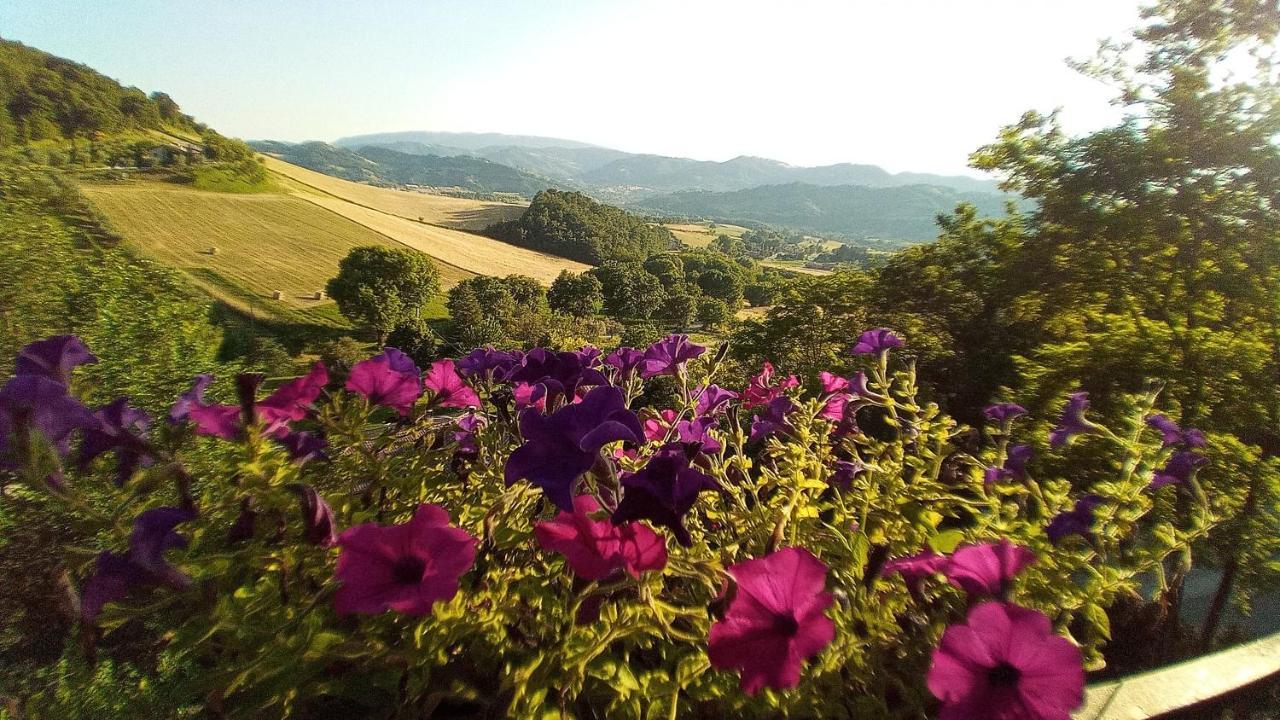 Agriturismo Le Francesche Villa Nocera Umbra Bagian luar foto
